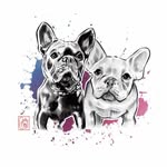 🐾 𝔹𝕣𝕒𝕕𝕝𝕖𝕪 & 𝔹𝕒𝕚𝕝𝕖𝕪 🐾 - @braddergast_and_bayleaf - Instagram