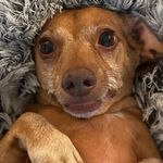 Bradley Bean - @bradley.beanboy - Instagram