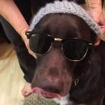 Bradley J. Beans - @bradleybeans - Instagram