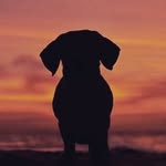 BradleyBean - @bradleybeann - Instagram