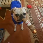 Brad Benfield - Facebook