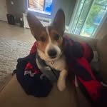 Bradley - @bradleybouchard2 - Instagram