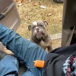 Bradley Bowen - @brad.leybowen123 - Instagram