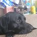 Bradley Bowen - Facebook