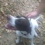 Bradley Bowman - @bradley.bowman.142 - Instagram