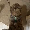Bradley Boyer - @bradleyboyer7 - TikTok