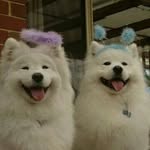@bradley.brenner - Instagram