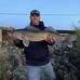Brad Buchner - Facebook