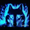 bradleyburch7 - @brad33704 - TikTok