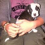 Bradley Wayne Castle - @bradleycastle12 - Instagram