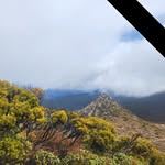 Bradley Challis - @bradleydireen - Instagram