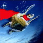 Bradley Chase - @hypersexualturtle - Instagram