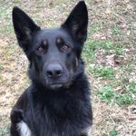 Bradley Chase Smith - @brad500987 - Instagram