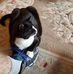 Bradley Cohen - Facebook