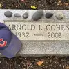 Bradley Cohen - @bradley.cohen4 - TikTok