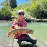 Bradley Cohen - @bradleycohen_ - Instagram