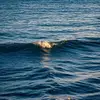 Bradley_Collard_4 - @bradley_collary_4 - TikTok
