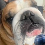 Bradley collard - @bradley_collard - Instagram