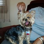 Correll Bradley - Facebook