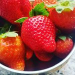 @bradleycovington778 - Instagram