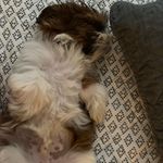 Parker Covington - @parker.bradley.covington - Instagram