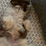 Parker - @parkerbradleycovington2020 - Instagram