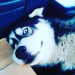bradley cramer - @dirtbikebradley999 - Instagram