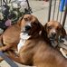 Bradley Cramer - Facebook