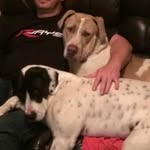 Bradley Crick - @bradley.crick.3 - Instagram
