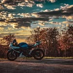 Bradley croft - @croft_bradley - Instagram