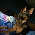 Bradley Crow - Facebook