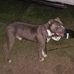 Brad Dailey - Facebook