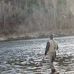 Brad Dailey - Facebook