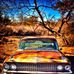 Bradley Daniels - Facebook