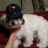 Bradley Daniels - @bradleydaniels25 - TikTok