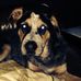 Bradley Danner - Facebook