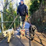 Bradley Dickerson - @outdoor_pawsuits - Instagram