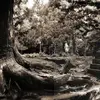 dirksenbradley - @dirksenbradley - TikTok