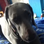 @bradleydriver_ - Instagram