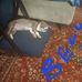 Bradley Duncan - Facebook