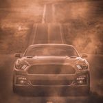 Bradley Duncan - @bduncan1371 - Instagram