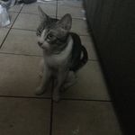 Bradley E - @bradley_ebert2008 - Instagram