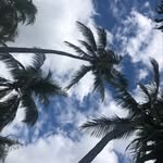 Bradley Essary - @bradley.essary - Instagram