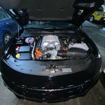 Bradley Gibson - @brad_gibson_613 - Instagram