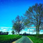 Bradley Gibson - @gibbo450 - Instagram