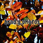 Bradley Grant - @brad.g.photos - Instagram