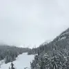 Brad green - @bradley.green06 - TikTok