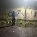 Bradley - @bradley.harriott - Instagram