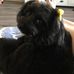 Bradley Herbert - Facebook