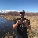 Bradley Hogan - @brad_1981 - Instagram